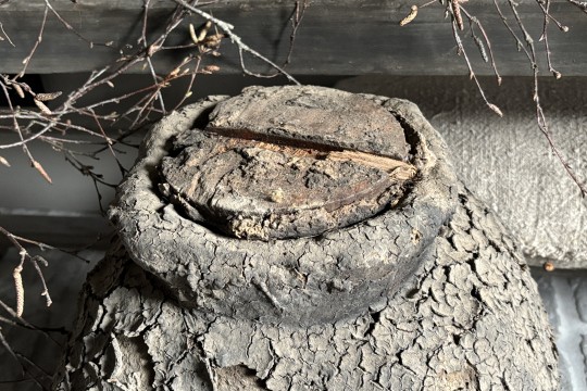 Leemmand met deksel NR 1